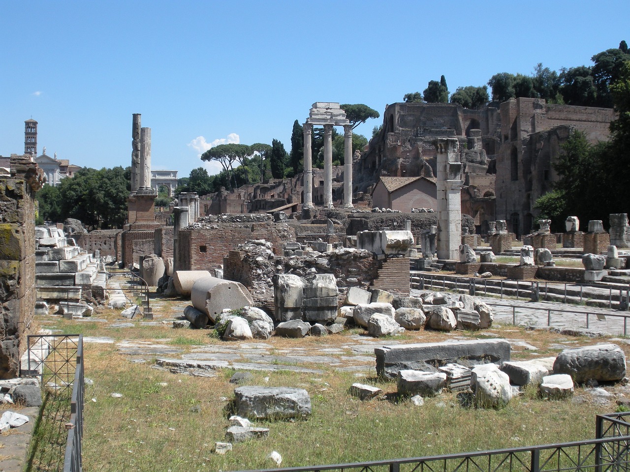 The Discovery of the Ancient Roman Forum